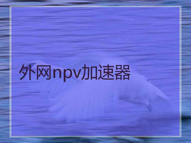 外网npv加速器