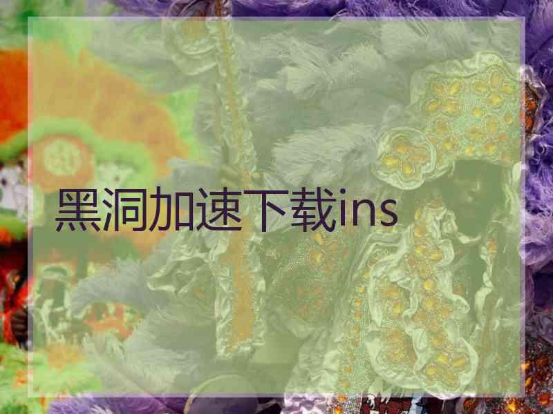 黑洞加速下载ins