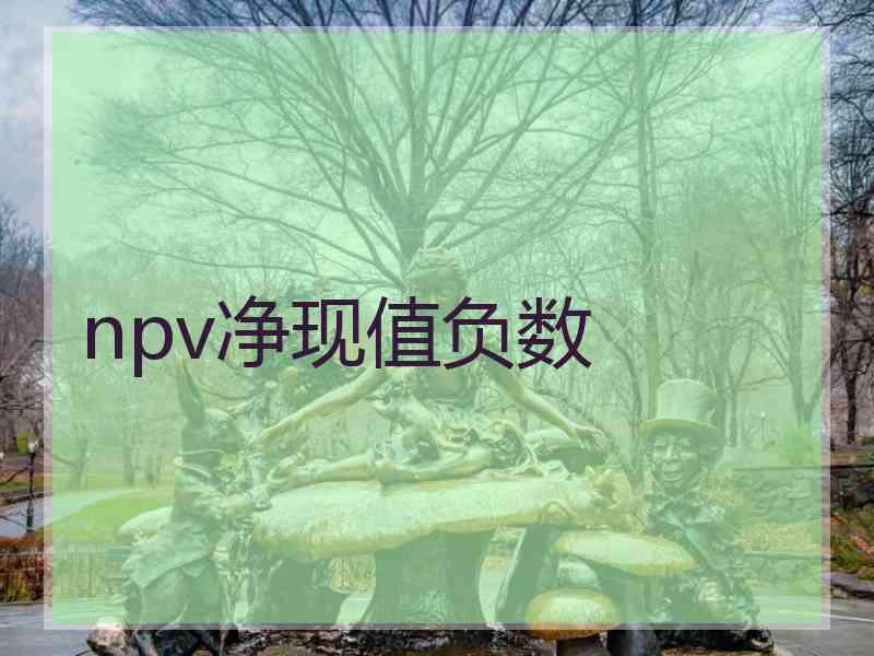 npv净现值负数