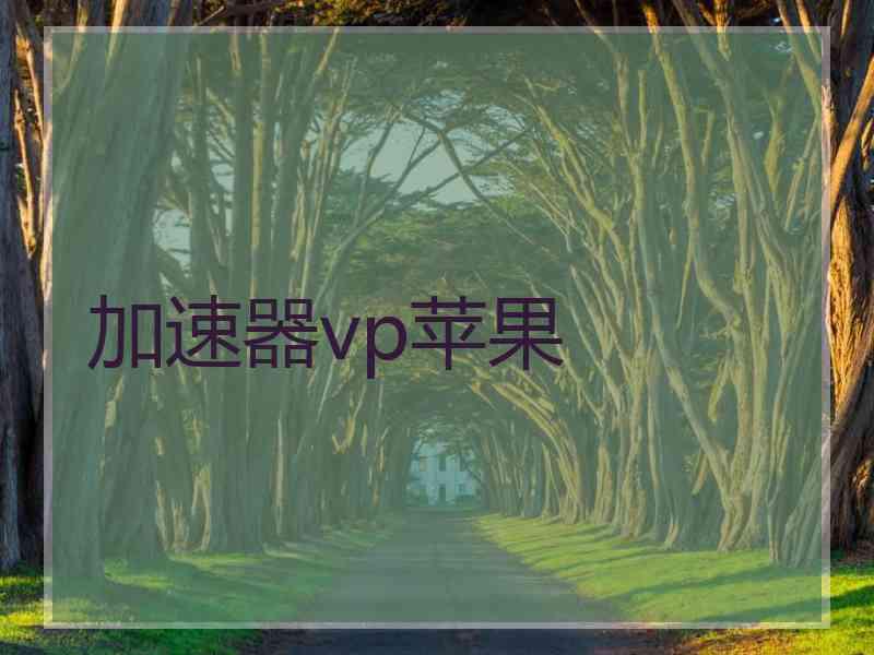 加速器vp苹果