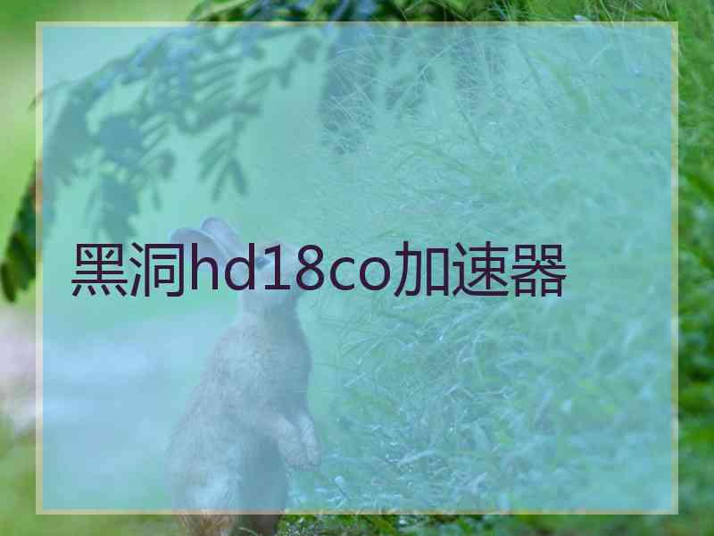 黑洞hd18co加速器