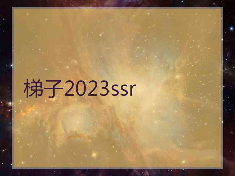 梯子2023ssr