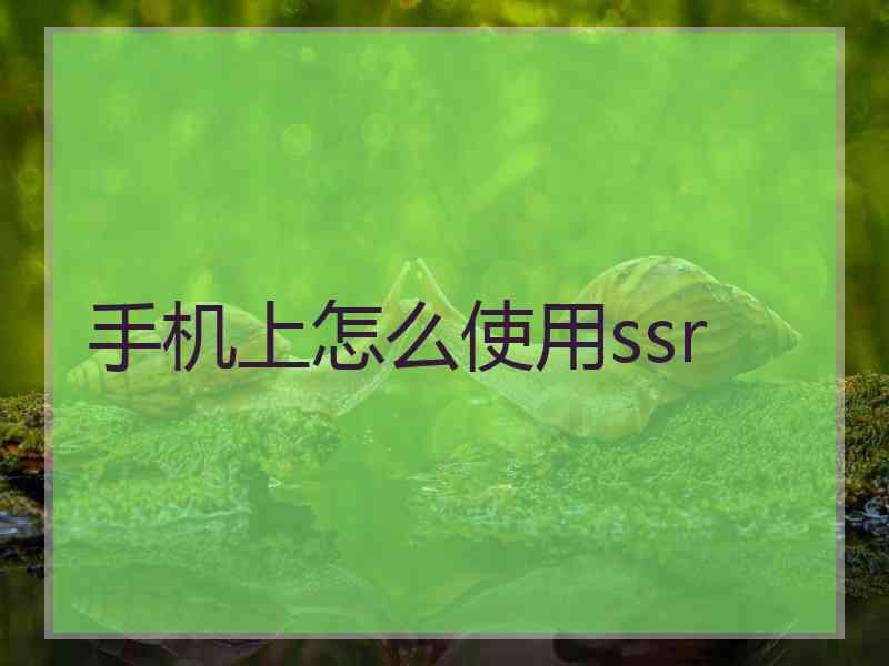 手机上怎么使用ssr