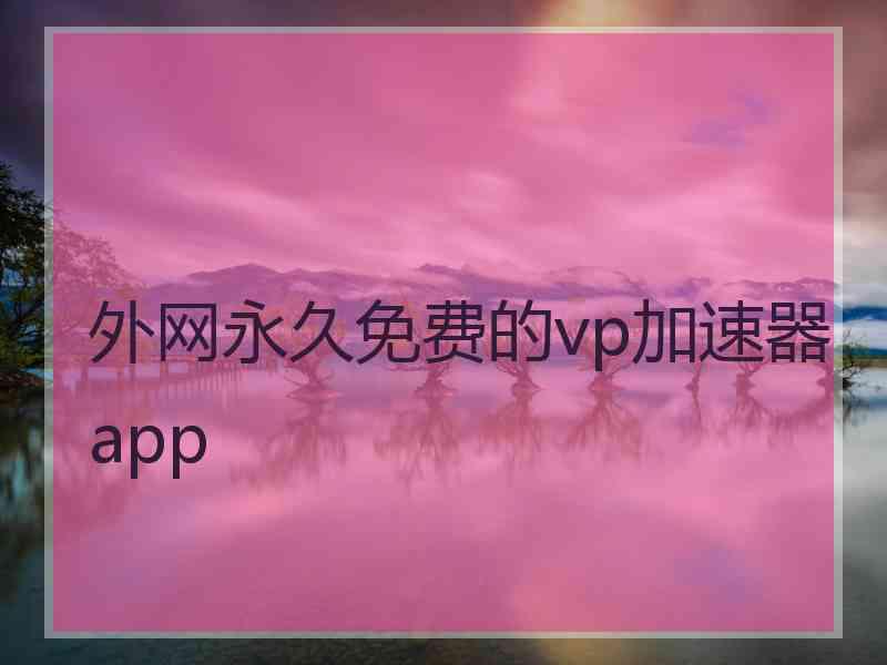 外网永久免费的vp加速器app