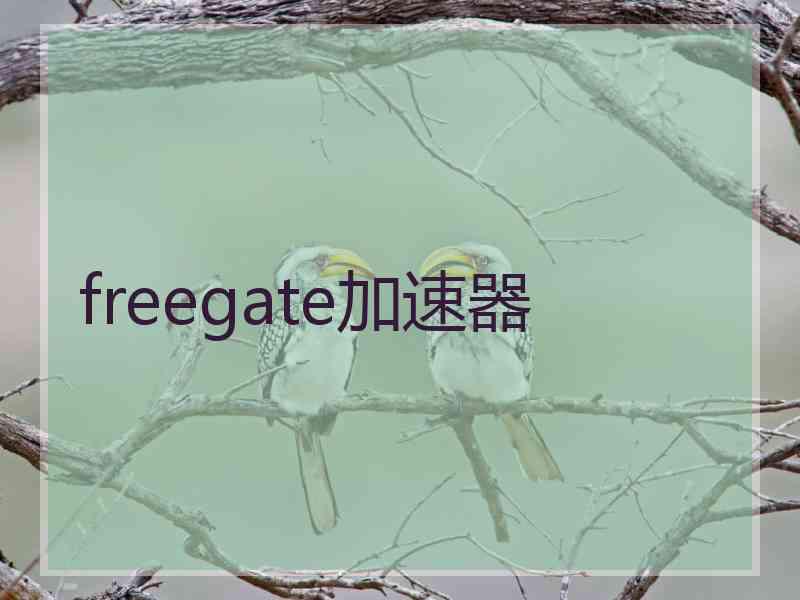 freegate加速器