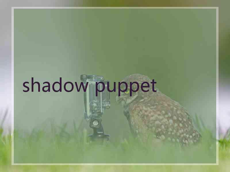 shadow puppet