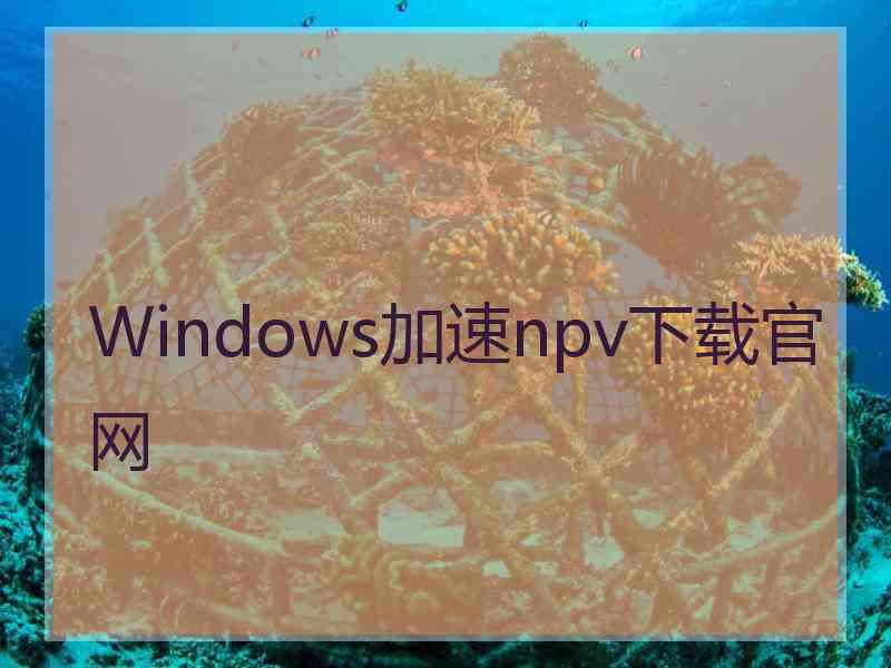 Windows加速npv下载官网