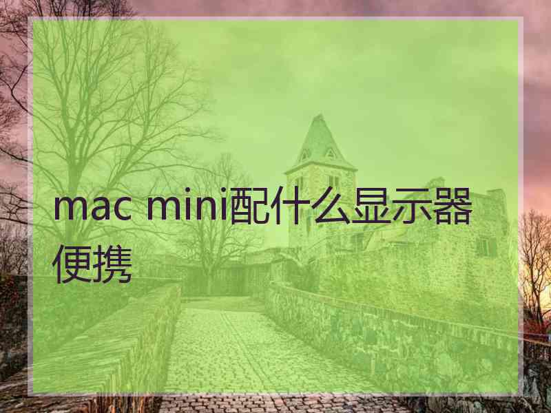 mac mini配什么显示器便携