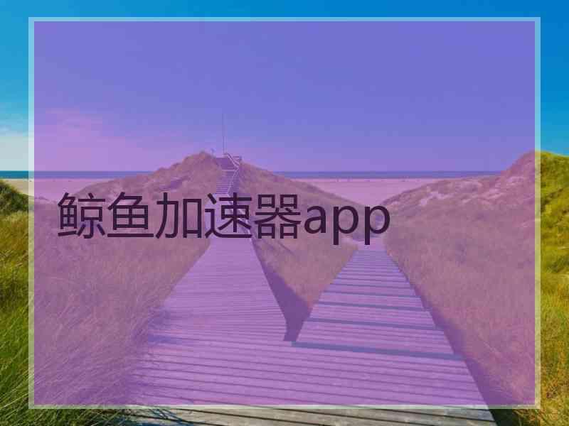 鲸鱼加速器app