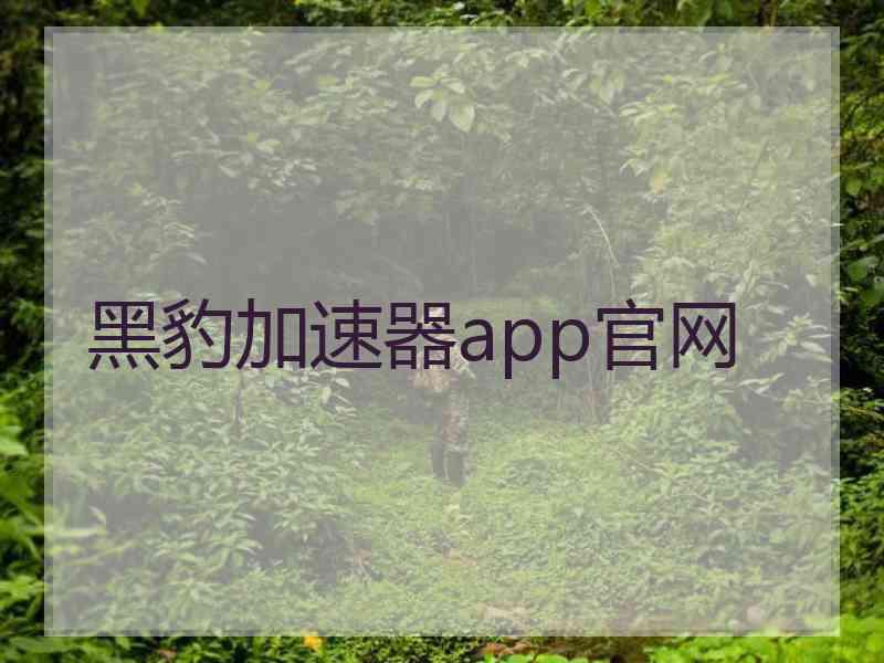 黑豹加速器app官网