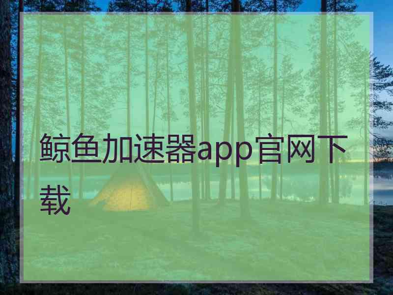 鲸鱼加速器app官网下载