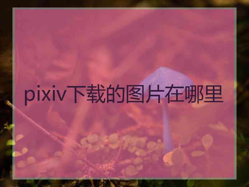 pixiv下载的图片在哪里