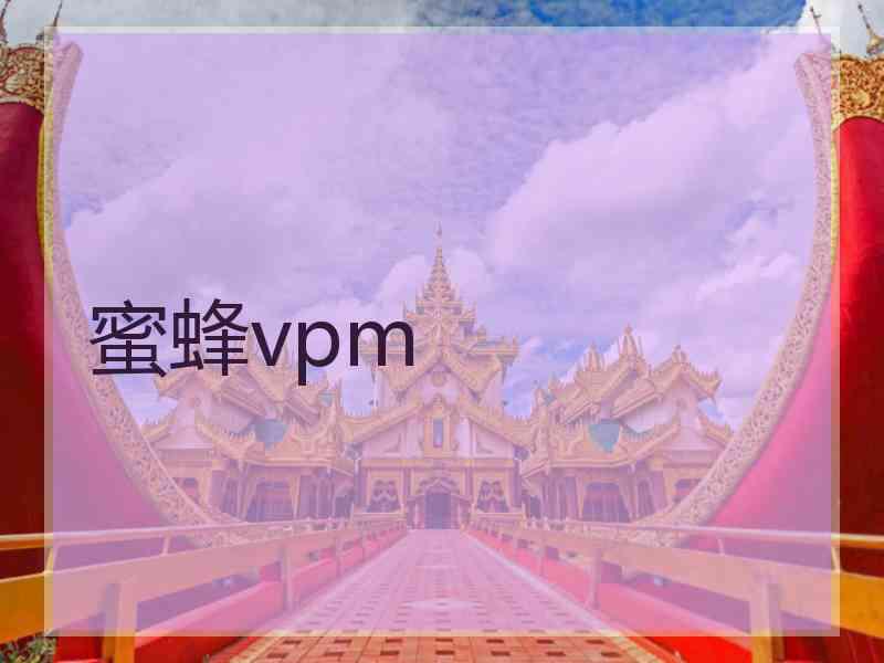 蜜蜂vpm