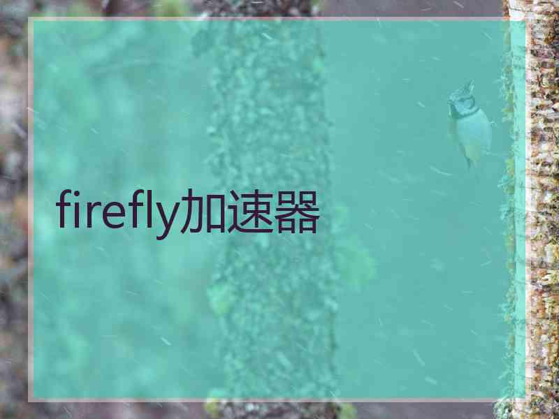 firefly加速器