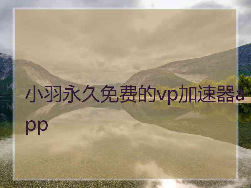 小羽永久免费的vp加速器app