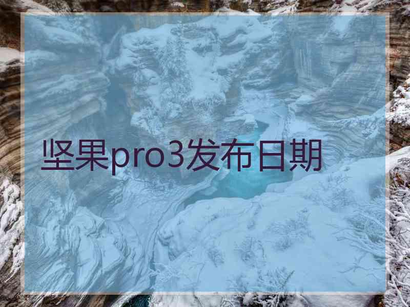 坚果pro3发布日期