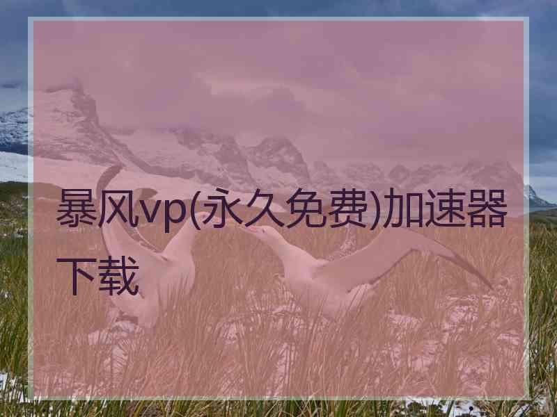 暴风vp(永久免费)加速器下载