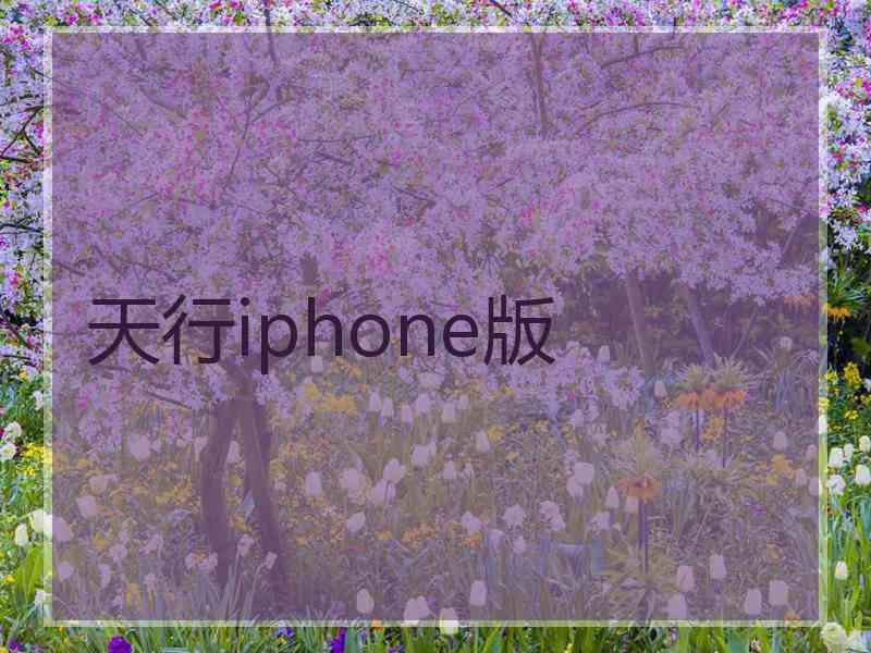 天行iphone版