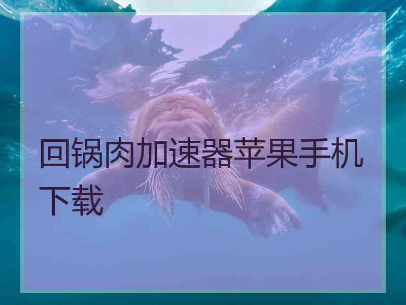 回锅肉加速器苹果手机下载