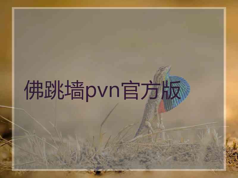 佛跳墙pvn官方版