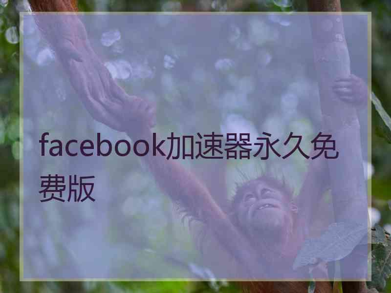 facebook加速器永久免费版