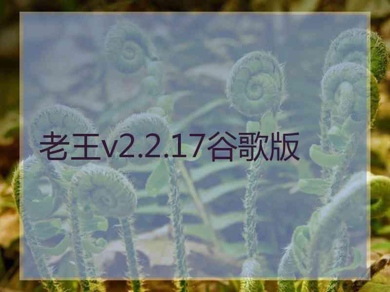 老王v2.2.17谷歌版