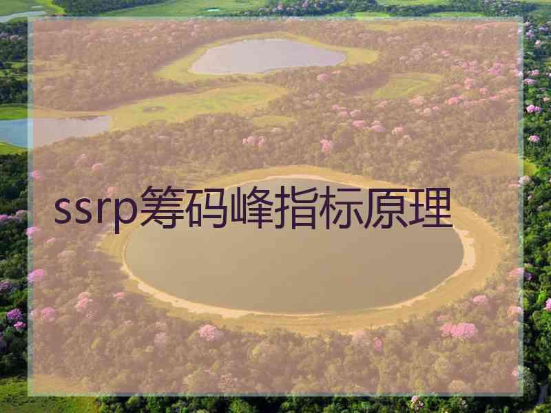 ssrp筹码峰指标原理