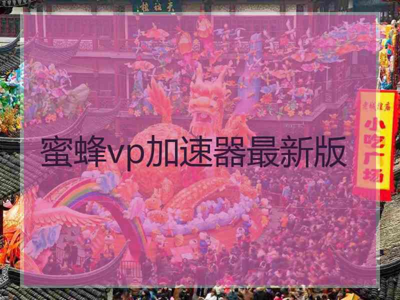 蜜蜂vp加速器最新版