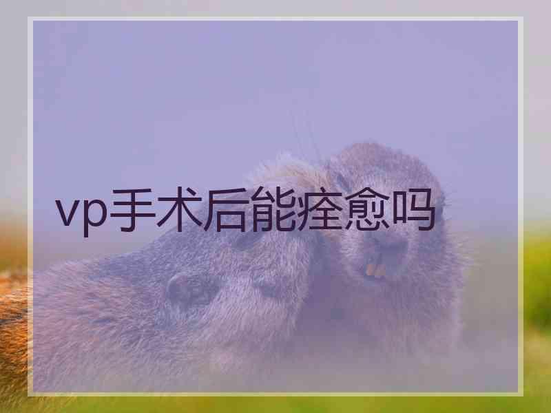 vp手术后能痊愈吗