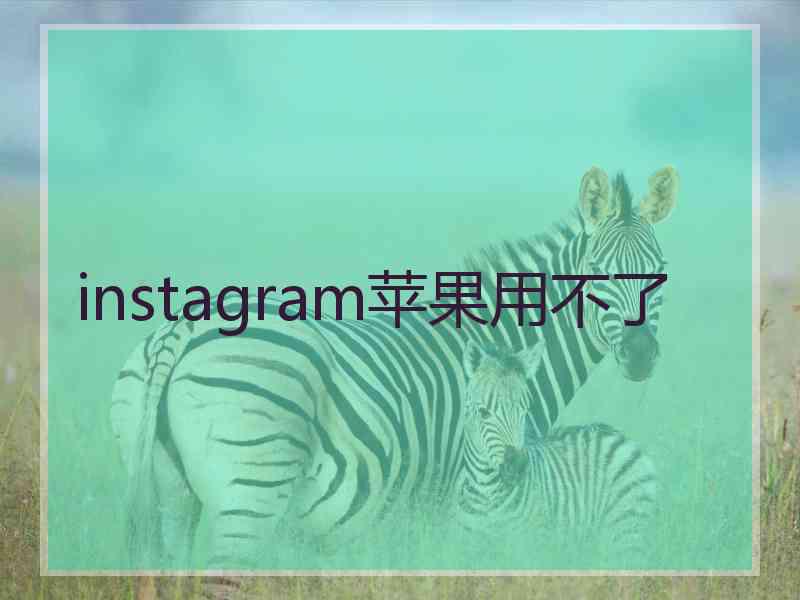 instagram苹果用不了