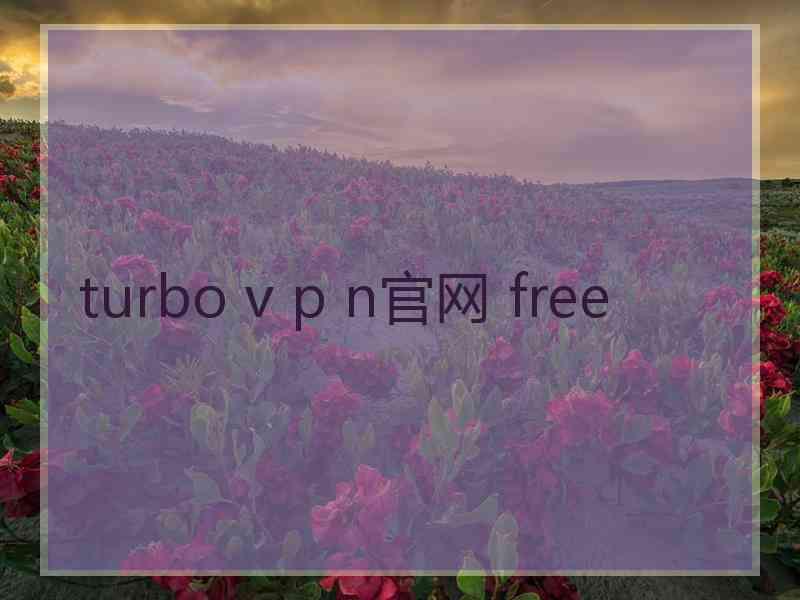 turbo v p n官网 free