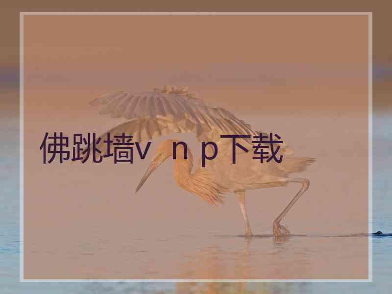 佛跳墙v  n p下载