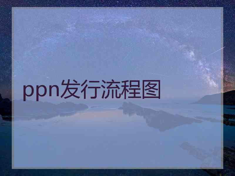 ppn发行流程图