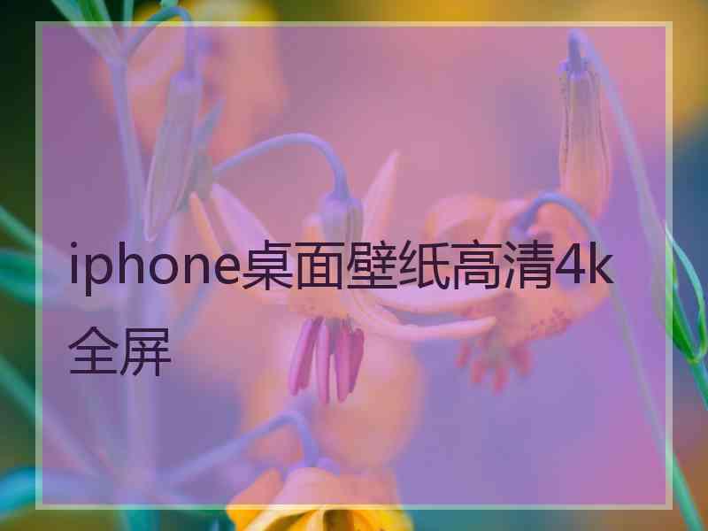 iphone桌面壁纸高清4k全屏