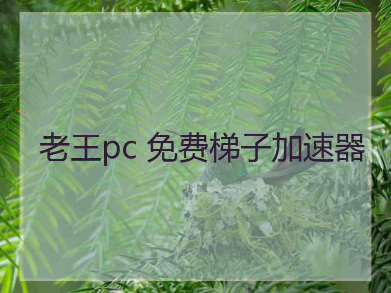 老王pc 免费梯子加速器