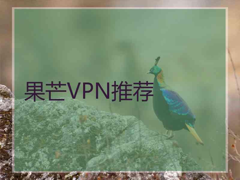 果芒VPN推荐