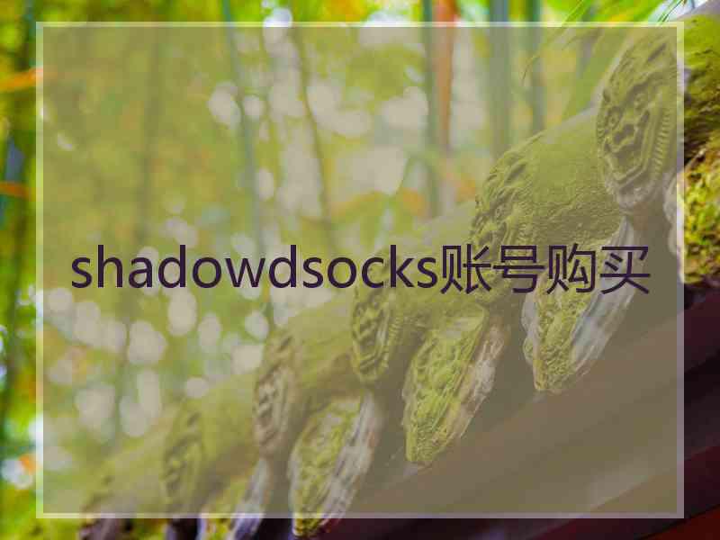 shadowdsocks账号购买