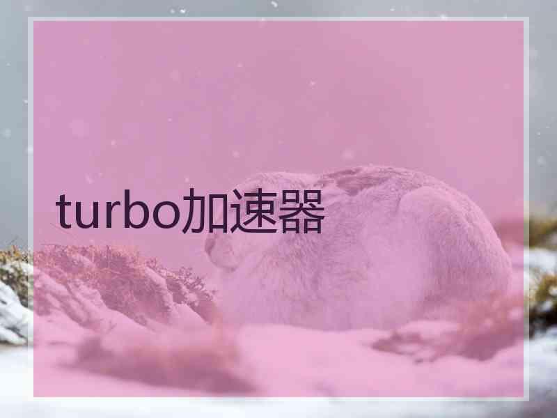 turbo加速器