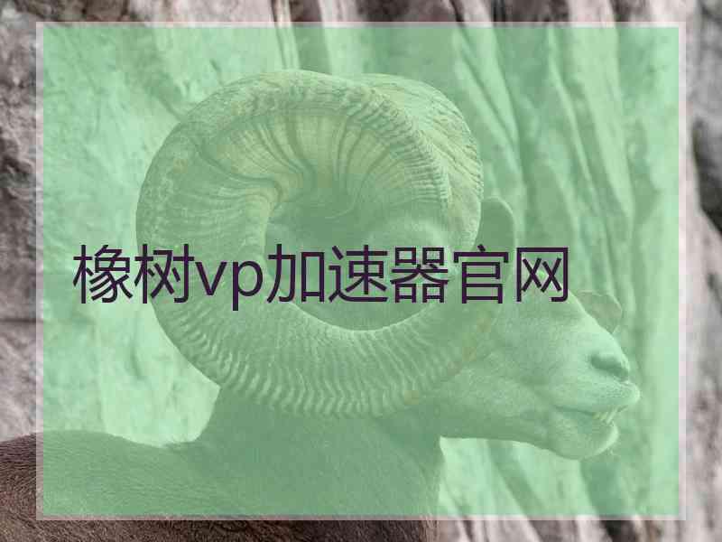 橡树vp加速器官网