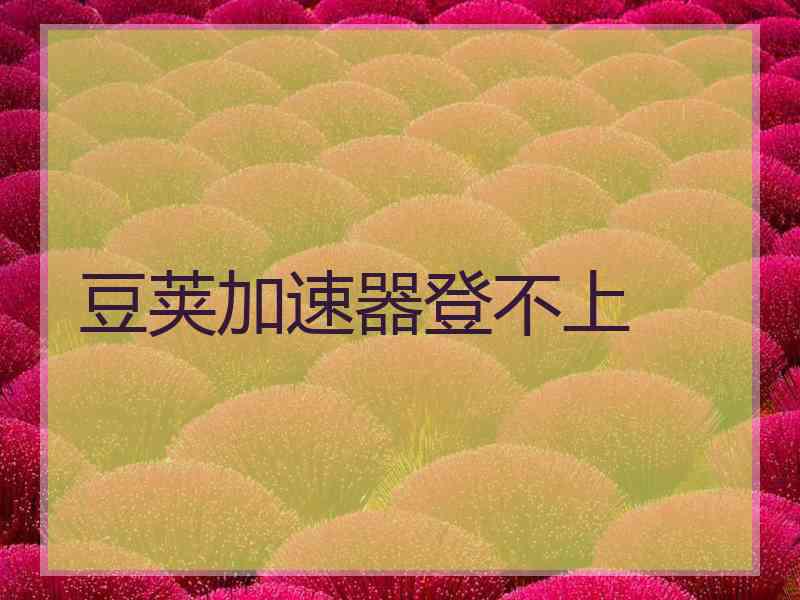 豆荚加速器登不上