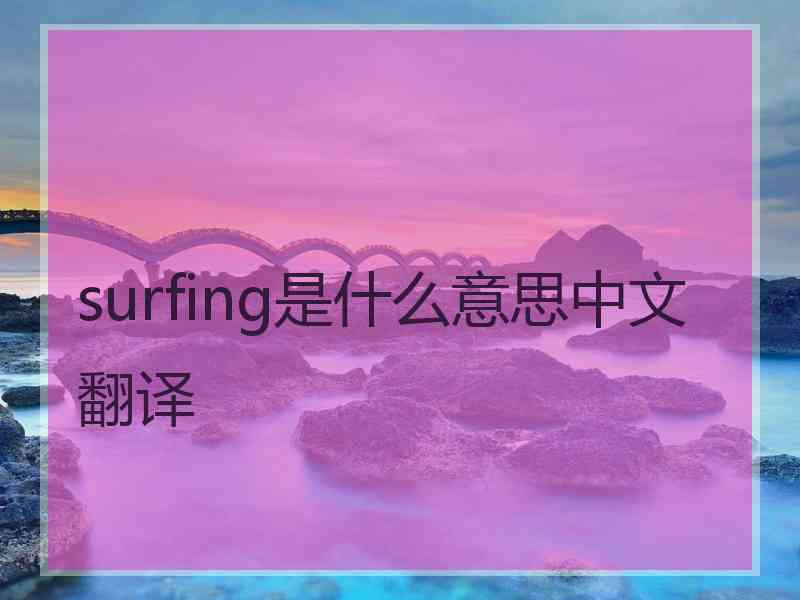 surfing是什么意思中文翻译