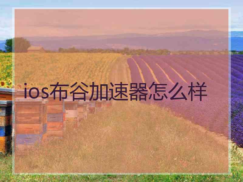 ios布谷加速器怎么样