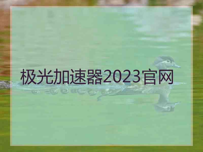 极光加速器2023官网