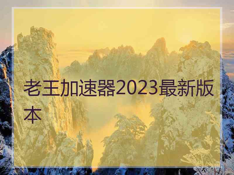 老王加速器2023最新版本