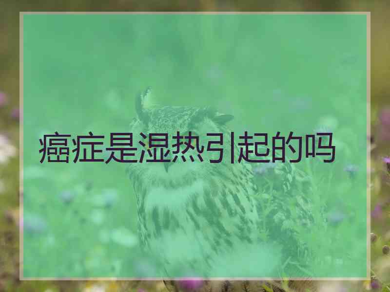 癌症是湿热引起的吗