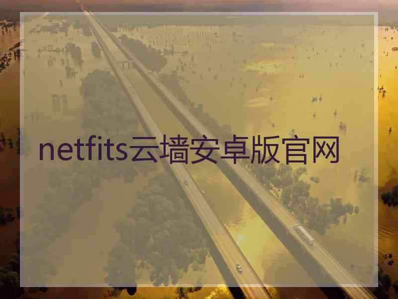 netfits云墙安卓版官网