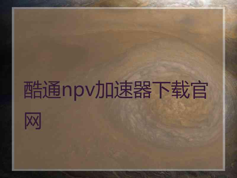 酷通npv加速器下载官网