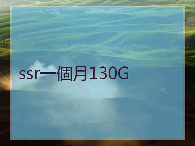 ssr一個月130G