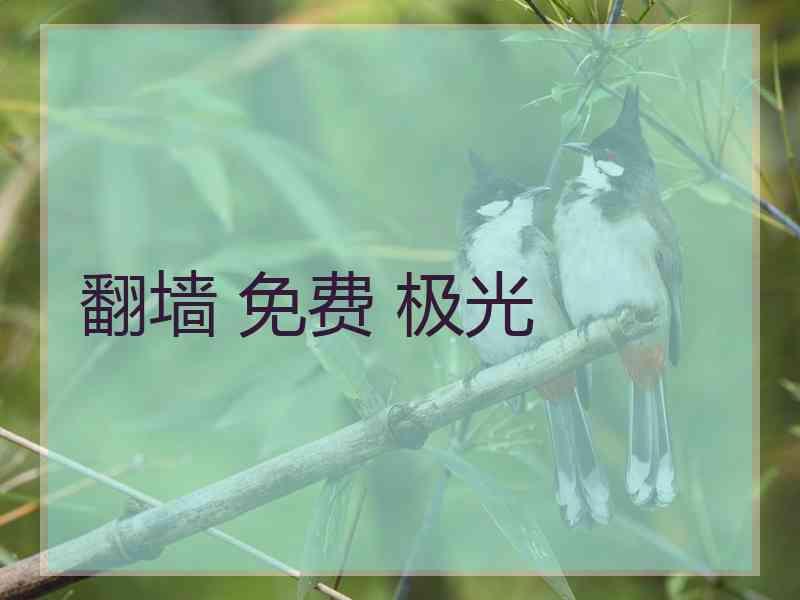 翻墙 免费 极光