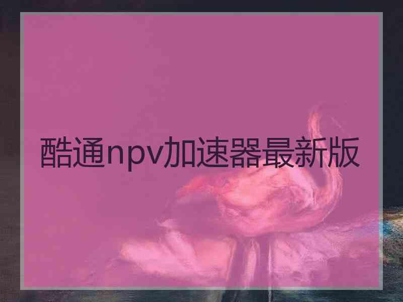 酷通npv加速器最新版